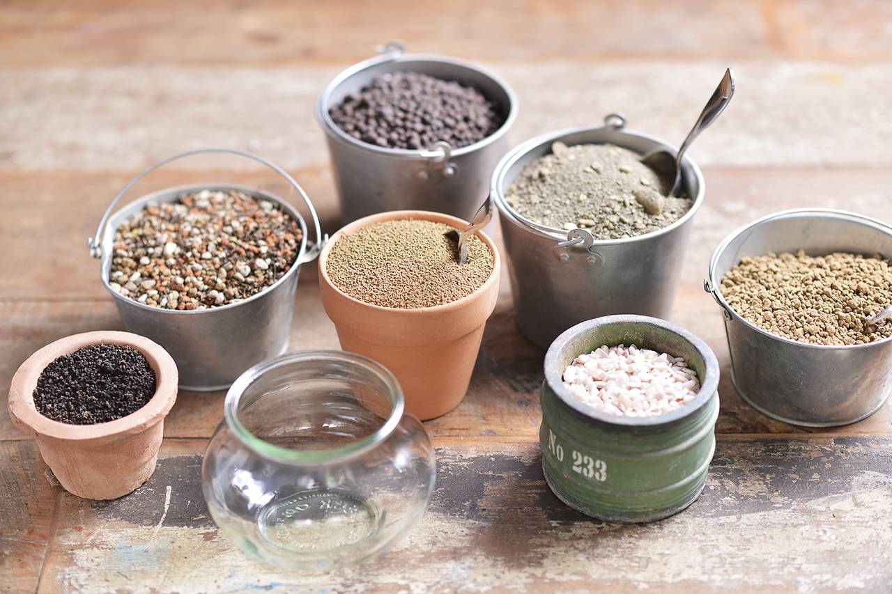 多肉進階養護技巧 多肉進階養護技巧